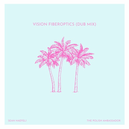 The Polish Ambassador feat. Sean Haefeli - Vision Fiberoptics (Dub Mix)