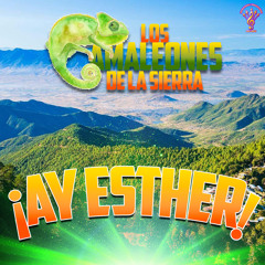 El Ayudante