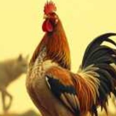 Copy of don't let ya mouth write a check your ass can't cash