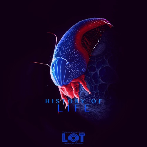 The First Bees (History Of Life Album, 112 Kbps)