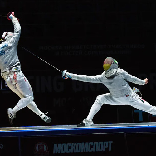 fencing (shivr)
