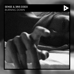 SENSE & 3RIS D3D3 - Burning Down [BPR Free Release]