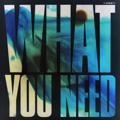 What You Need (W/ Demon Marcus, Exxe, KvK, møses, Orphan Andy)