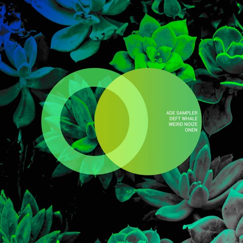 Weird Noize - Warrior Within (Original Mix) [AREA VERDE] Progressive House Premiere