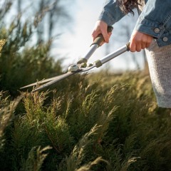 Grass Slashing Services