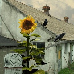 Sunflower Tombs (prod. lucas quinn)
