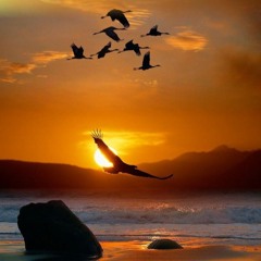 Sunlight Wind and Waves * anomon & ilio