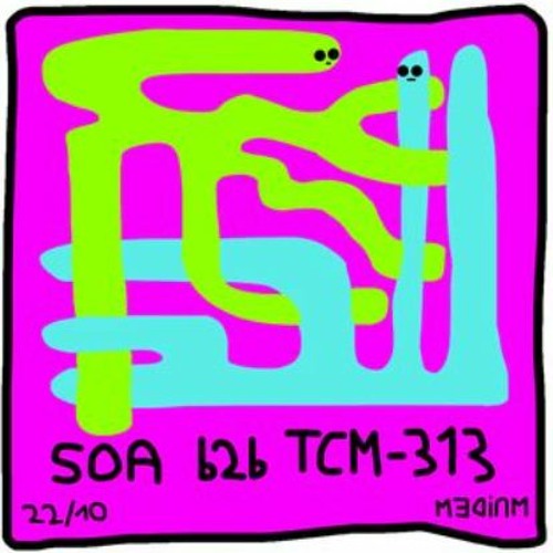 MƎꓷIꓵM 04 - Soa & TCM-313