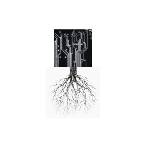 Electron Roots