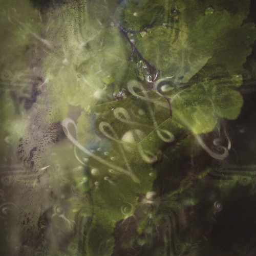 Aurora CD 001 ~ Beta [Previews]