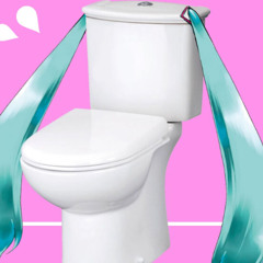 Toiletgirl