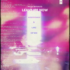 Leave Me Now (MusicByDavid & Larz VIP Mix)
