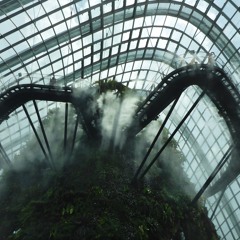 Cloud Forest