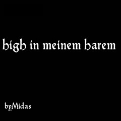 High in meinem Harem  (prod. by Balance Cooper)