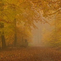 OktoberKommaGolden (WonderBoXX&DubbedDrums)