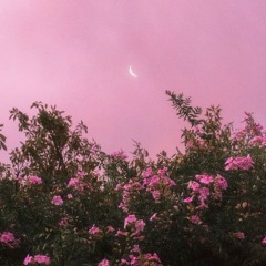 Luxøfons - 𝙳 𝚁 𝙴 𝙰 𝙼 𝙸 𝙽 𝙶