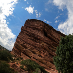 In the Desert