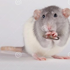 rats got the keys from the sewer