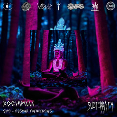 Ep.44. Xochipilli | Live Set (subterra.fm)
