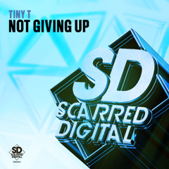 SD244 Tiny T - Give You Up. Release 28/05/2025