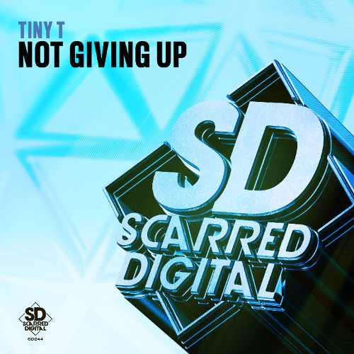 SD244 Tiny T - Give You Up. Release 28/05/2025