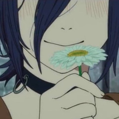 flowerbed bunii cover