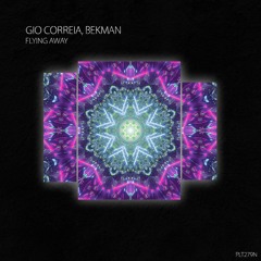 DHS Sweden: Gio Correia, Bekman - Flying Away (Extended Mix) [Polyptych Noir]