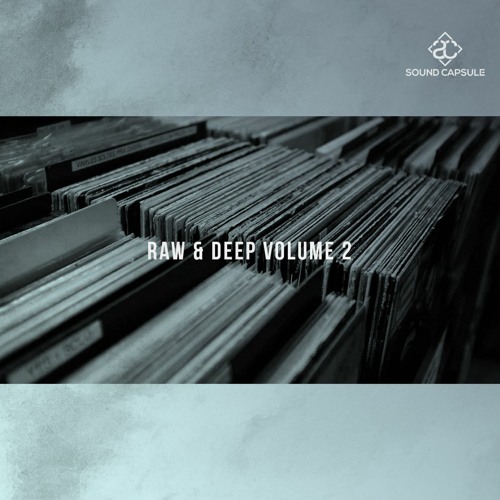 Sample Pack - Raw & Deep Volume 2