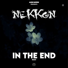 In The End (RMX)