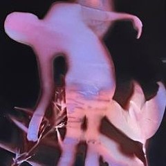 giela ~ poppin ft.switdabeam