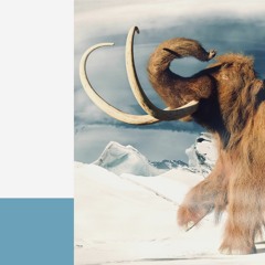 WHEN WILL THE MAMMOTH CROSS THE SEA?