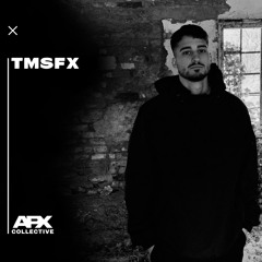APX PODCAST #005  TMSFX 🇭🇺