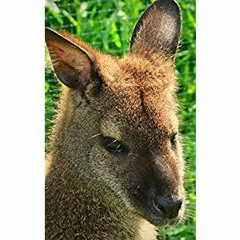 [DOWNLOAD] ⚡️ PDF Notebook Wallaby Kangaroo Marsupial Australian Wildlife 5' x 8' 150 Ruled Page