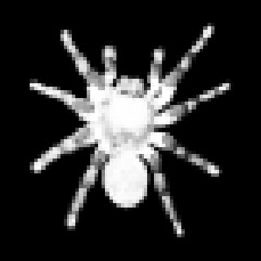 Amazed! (prod. uhmnick)