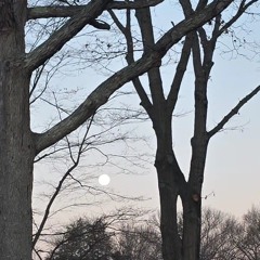 Johnnie Smoke - A Number to Shoot - A No pressure breathing Piano Rendition