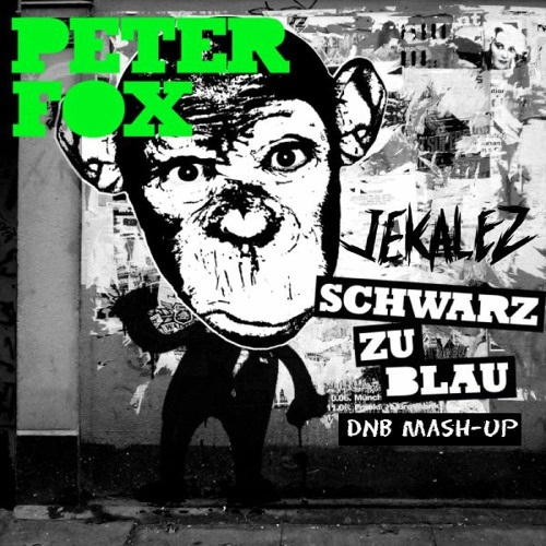 Peter Fox X Camo & Krooked - Schwarz Zu No Way Out (Jekalez DnB Mash - Up)