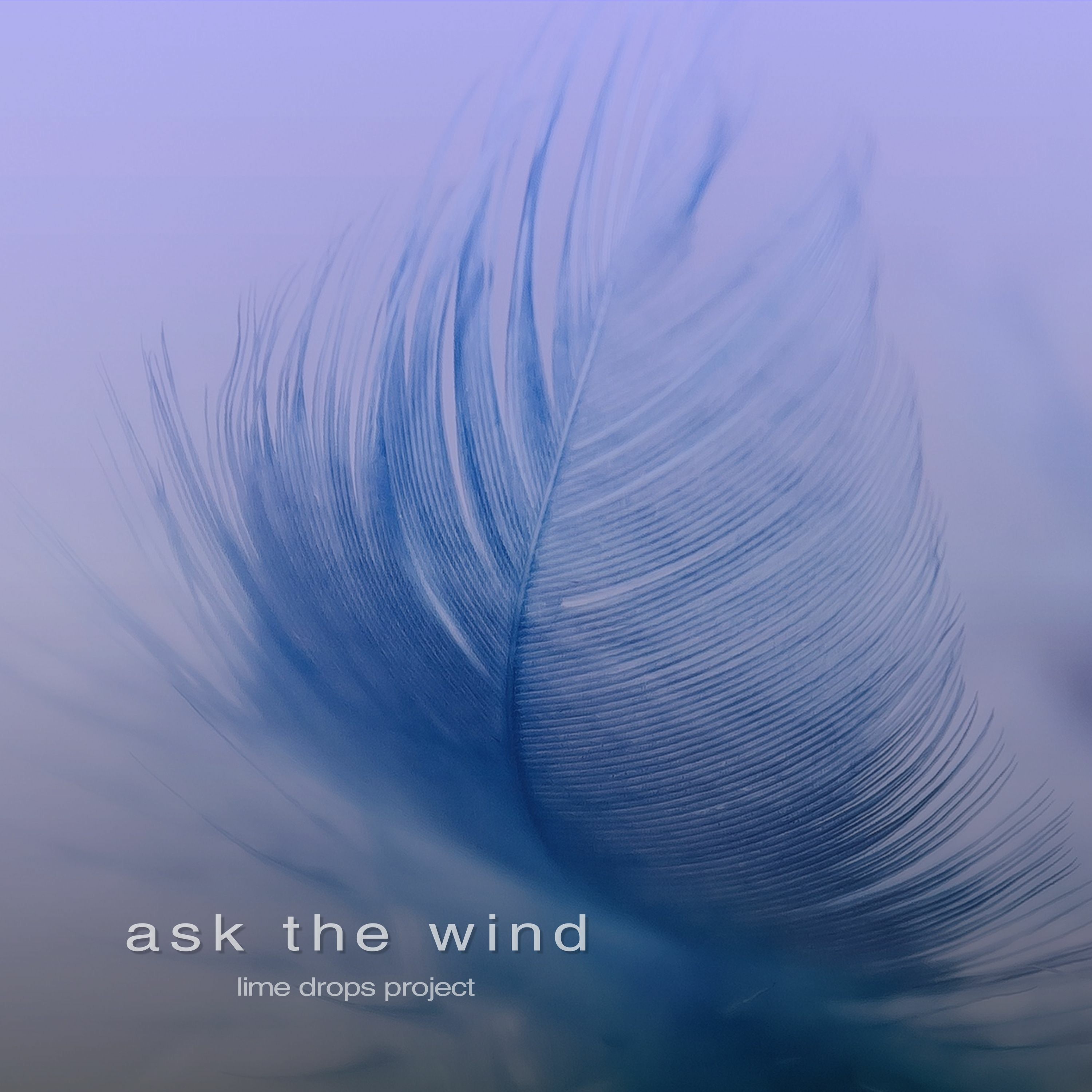 Ask The Wind