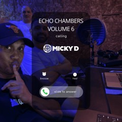 Echo Chambers vol 6 with Micky D | October 2025 | MD86