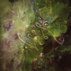 [PREMIERE] Homelander - Cyylind