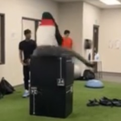 Nggas be doing the splits (melly diss)