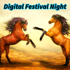 Digital Festival Night