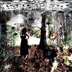 Par3d3s|d3_cr1st4l||