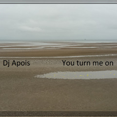 Dj Apois  -   You turn me on