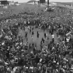 stuck in the mosh pit ft req