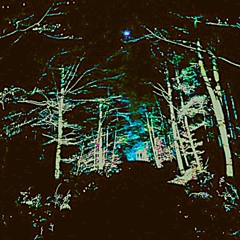 LOST PLACES 008 BONUS