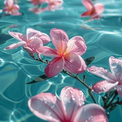 Nancy Ajram - Sidi Ya Sidi​ (Official Lyric Video) _ نانسي عجرم - سيدي يا سيدي(MP3_160K).mp3