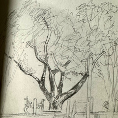 슬픔은