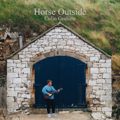 Horse Outside