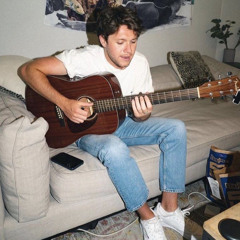 ceilings - niall horan