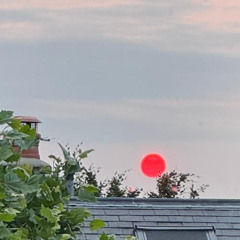 ohmydais b2b tania atyabi